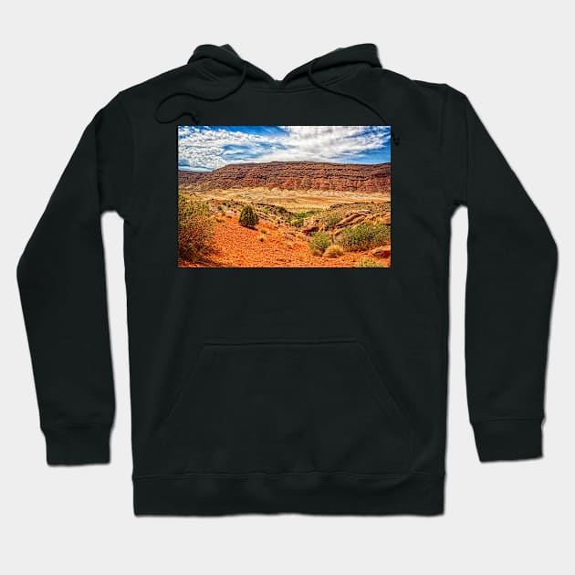 Arches National Park, Moab Utah Hoodie by Gestalt Imagery